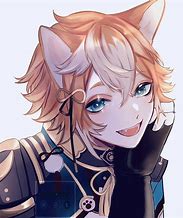 Image result for Galaxy Anime Boy Fox