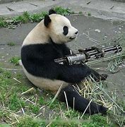 Image result for Mean Panda