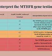 Image result for Homozygous MTHFR Mutation C677T