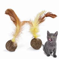 Image result for Cat Mint Ball