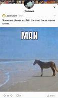 Image result for Horse at the Beach Meme