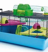 Image result for Chinese Dwarf Hamster Cage