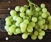 Image result for Grapes Photo