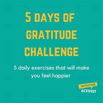 Image result for 30-Day Gratitude Challenge