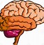 Image result for Cognition Brain Clip Art