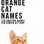Image result for Orange Cat Names Girl