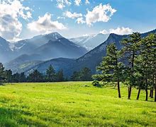 Image result for Nature Documentary