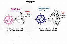 Image result for Sibor Rate Singapore