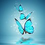 Image result for Blue Butterfly Graphics