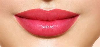 Image result for Lips Incl