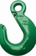 Image result for Chain Gate Hook
