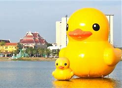 Image result for Lake Erie Rubber Duck
