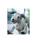 Image result for Sony Aibo Pink