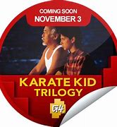 Image result for Karate Kid Trilogy