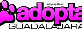 Image result for adoptae