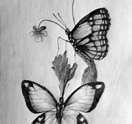 Image result for Pretty Butterflies Drawings