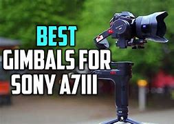 Image result for Gimbal for Sony A7iii
