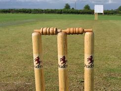Image result for Bat Ball Gloves Cricket