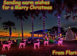 Image result for Florida White Christmas Meme