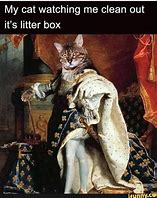 Image result for My Cat Leaving the Litter Box Meme