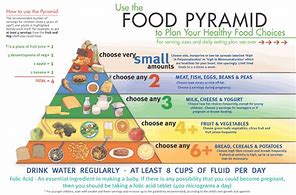Image result for Food Pyramid Exercise