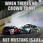 Image result for Growing Mustang Meme