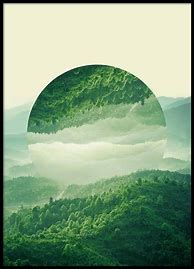 Image result for Nature Poster Design