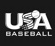 Image result for USA Baseball Bat Sticker