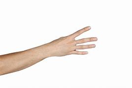 Image result for 1 Hand Gesture
