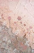 Image result for iPhone SE Rose Gold Wallpaper