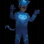 Image result for PJ Mask Halloween Costumes for Kids