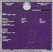 Image result for Funny Birth Certificate Template