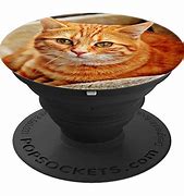 Image result for Cute Popsockets Animals