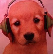 Image result for Dog with Headset Meme