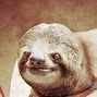 Image result for Space Sloth Desktop