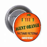 Image result for Us Agent Orange Pin