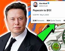 Image result for Elon Pepe