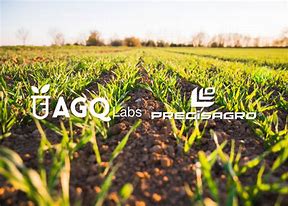 Image result for agq stock