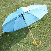 Image result for Lite Blue Coach Umbrella