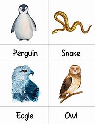 Image result for Animal Memory Matching Card Game