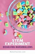 Image result for Food Science Experiments