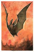 Image result for Bat Artwork