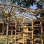 Image result for Bamboo Space Frame