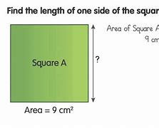 Image result for Square with Measures
