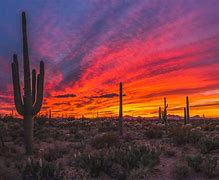 Image result for Arizona Desert