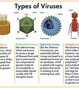 Image result for +Virus iAntivirus