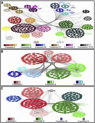 Image result for Network Structure