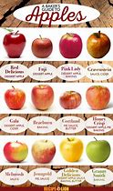 Image result for Tart Apples Varieties