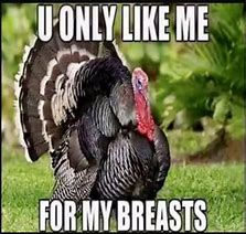 Image result for Walking Turkey Meme