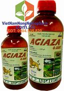 Image result for agiaza